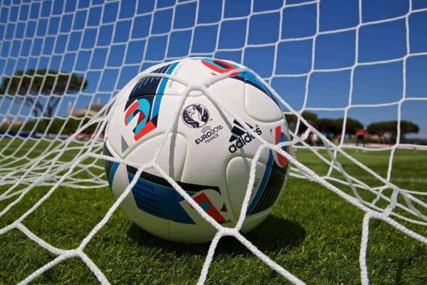 VALE DO LOBO, PORTUGAL - Friday, May 27, 2016: Official Euro016 match ball during day four of the pre-UEFA Euro 2016 training camp at the Vale Do Lobo resort in Portugal. (Pic by David Rawcliffe/Propaganda)