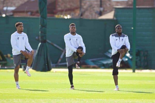 LIVERPOOL, ENGLAND - Wednesday, May 4, 2016: Liverpool's Jordon Ibe, Daniel Sturridge and Sheyi Ojo during a training session at Melwood Training Ground ahead of the UEFA Europa League Semi-Final 2nd Leg match against Villarreal CF. (Pic by David Rawcliffe/Propaganda)