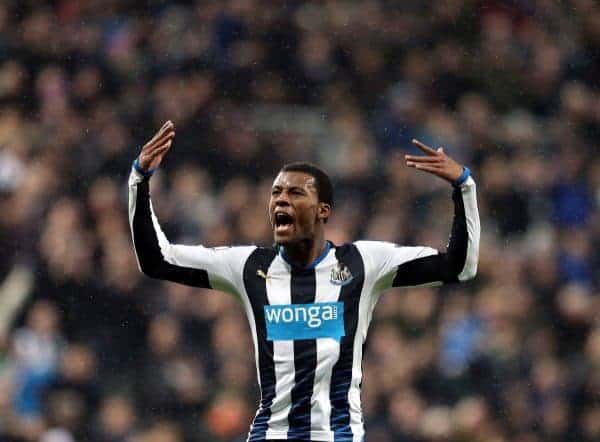 Newcastle United's Georginio Wijnaldum celebrates his goal during the English Premier League soccer match between Newcastle United and Manchester United at St James' Park, Newcastle, England, Tuesday, Jan. 12, 2015. (AP Photo/Scott Heppell)