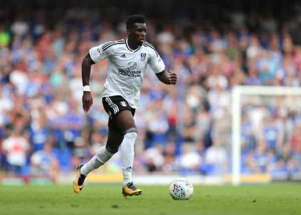 Fulham's Sheyi Ojo