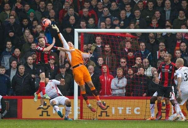 BOURNEMOUTH, ENGLAND - Saturday, January 25, 2014: Liverpool's goalkeeper Brad Jones in action against Bournemouth during the FA Cup 4th Round match at Dean Court. (Pic by David Rawcliffe/Propaganda)