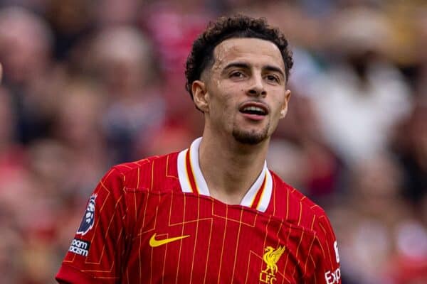 LIVERPOOL, INGHILTERRA - Sabato 21 settembre 2024: Curtis Jones di Liverpool durante la partita della fa Premier League tra il Liverpool FC e l'AFC Bournemouth ad Anfield. Il Liverpool ha vinto 3-0. (Foto di David Rawcliffe/Propaganda)