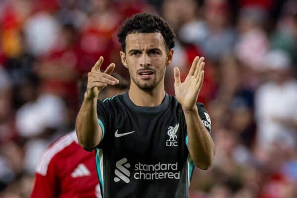 COLUMBIA - Saturday, August 3, 2024: Liverpool's Curtis Jones during a pre-season friendly match between Liverpool FC and Manchester United FC at the Williams-Brice Stadium on day eleven of the club's pre-season tour of the USA. (Photo by David Rawcliffe/Propaganda)