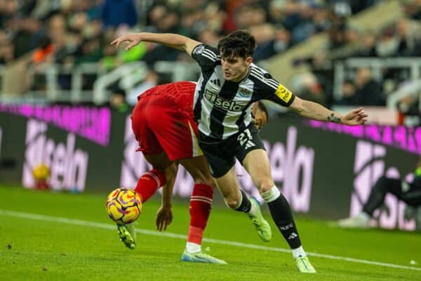 NEWCASTLE-UPON-TYNE, ENGLAND - Wednesday, December 4, 2024: Newcastle United's Tino Livramento (R) is challenged by Liverpool's Cody Gakpo during the FA Premier League match between Newcastle United FC and Liverpool FC at St James' Park. (Photo by David Rawcliffe/Propaganda)