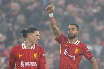 Football – FA Premier League – Liverpool FC v Fulham FC